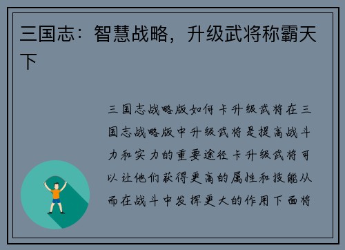三国志：智慧战略，升级武将称霸天下